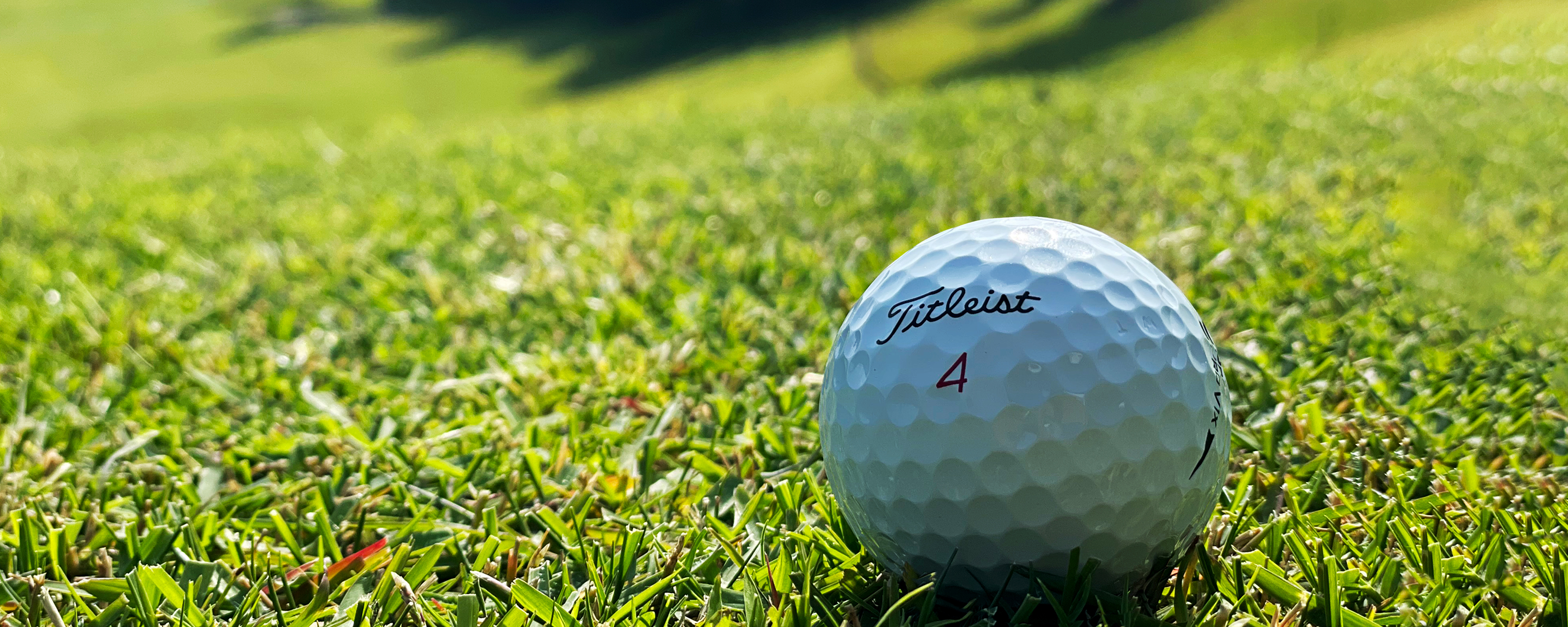  オリムピックナショナルゴルフクラブ サカワコース 芝生に置かれたゴルフボールの写真